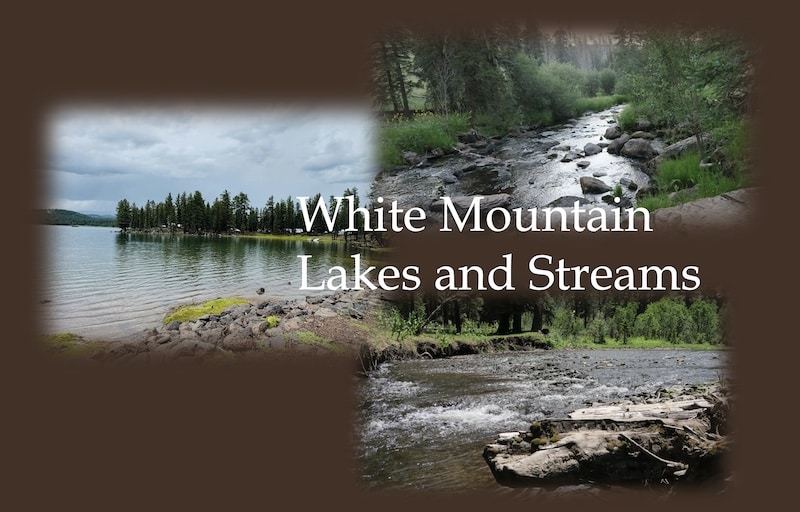 White Mountains Lakes and Streams