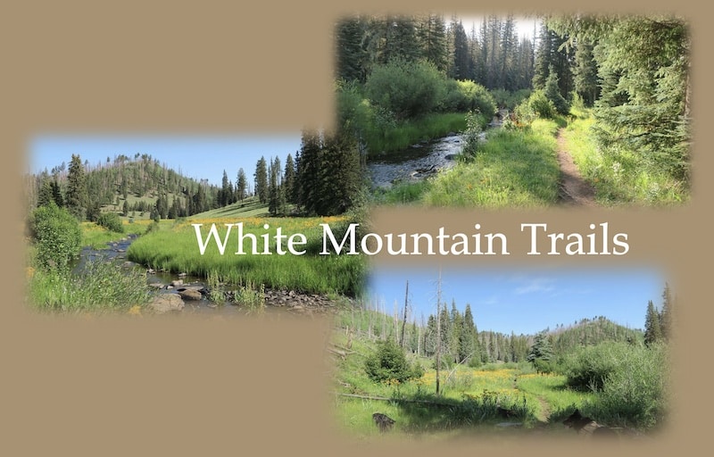 White Mountain Pictures